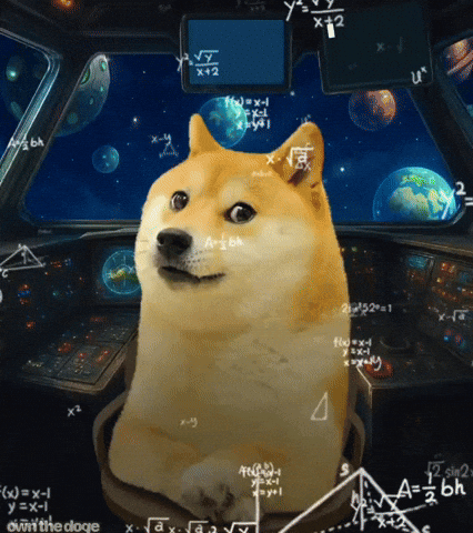 GIF by Own The Doge