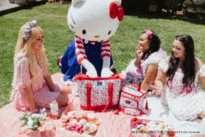 Happy Hello Kitty GIF by Igloo Products Corp.