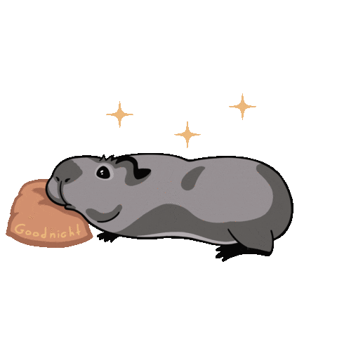 Guineapig Sticker