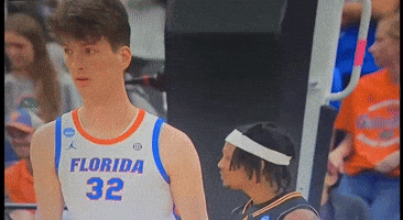 Gators GIF