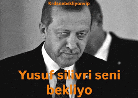 Krdsnebekliyonvip GIF