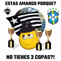 Bfr Alvinegro GIF