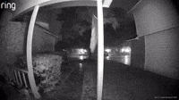 Doorbell Camera Captures Hail Pelting Yard in San Antonio