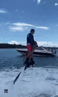 Dogs Miami GIF by Storyful