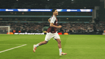 Avfc GIF by Aston Villa FC