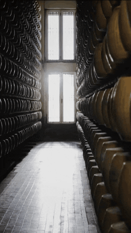 Cheese Made In Italy GIF by Parmigiano Reggiano