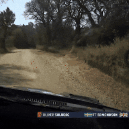 Fail Game Over GIF by FIA World Rally Championship