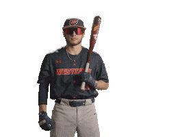 Wcsubaseball Sticker by WCSU