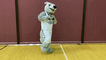 Get Ready Wolfpack GIF by Cardinal Stritch University
