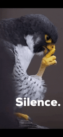 Silence GIF