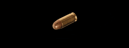 DonShot GIF