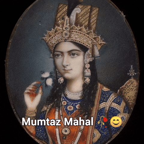 Taj Mahal Travel GIF
