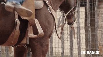 Horse Cowboy GIF by DurangoBoots