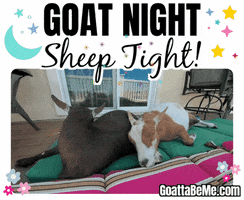 Tired Good Night GIF by Goatta Be Me Goats! Adventures of Pumpkin, Cookie and Java!