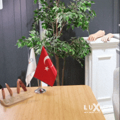 LUXMED GIF