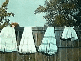Petticoat Junction Vintage GIF Petticoat Junction Vintage GIF