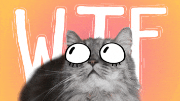 What The Wtf GIF by Holler Studios