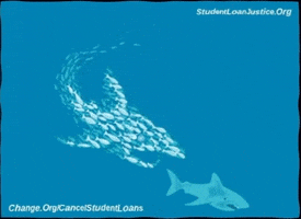 College Students Fish GIF by Student Loan Justice