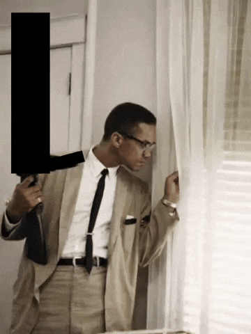Malcom X GIF