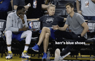 Steve Kerr GIF