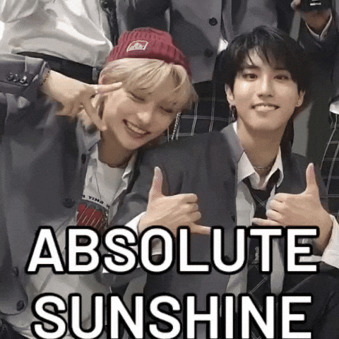 Stray Kids Skz GIF