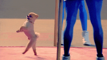 music video dog GIF by Katy Perry