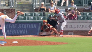 Bat Flip GIF