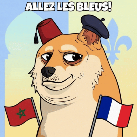 Lets Go Soccer GIF by Doge Pound