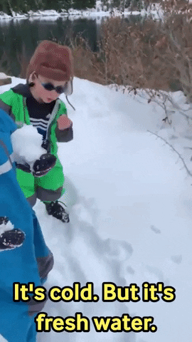 Snow National Siblings Day GIF by Storyful