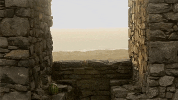 watermelon GIF by Digg