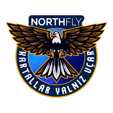 Ppl Cessna Sticker by northfly