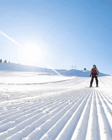 Ski races
