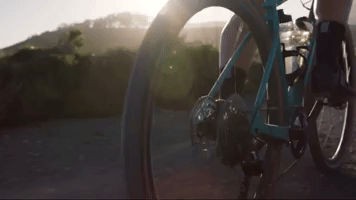 Wheels Carbon GIF by Wilderness Trail Bikes