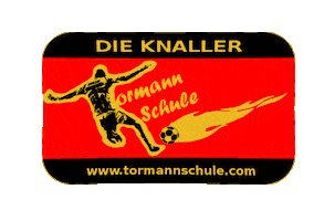 Die Knaller Tormannschule Sticker