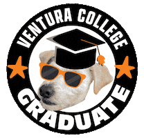Celebrate Bing-Bong Sticker by Ventura College Official