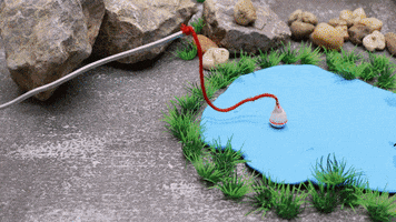 Fish Fishing GIF by Cookingfunny