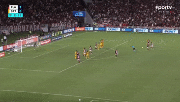 Flamengo GIF