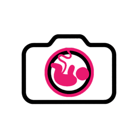 De Geboortefotograaf Sticker