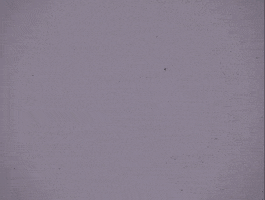 200.gif?cid=fc005b085a307c1dd936733133b668617a416365ccda9c8f&rid=200.gif&ct=g