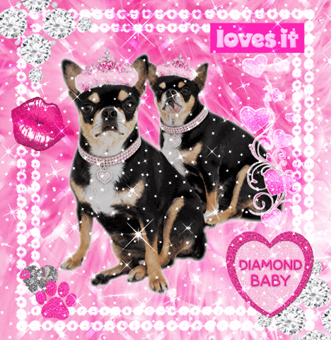 Dog Pink GIF by Paris Hilton