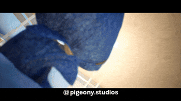 Pigeony Studios GIF