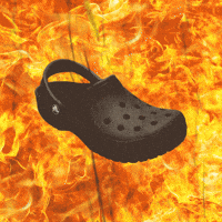 Crocs-papucs GIFs - Get the best GIF on GIPHY