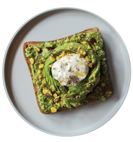 Avocadotoast Sticker by Avocaderia