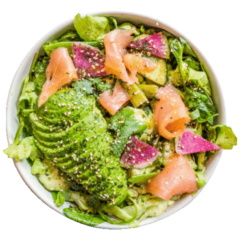 Sticker by Avocaderia