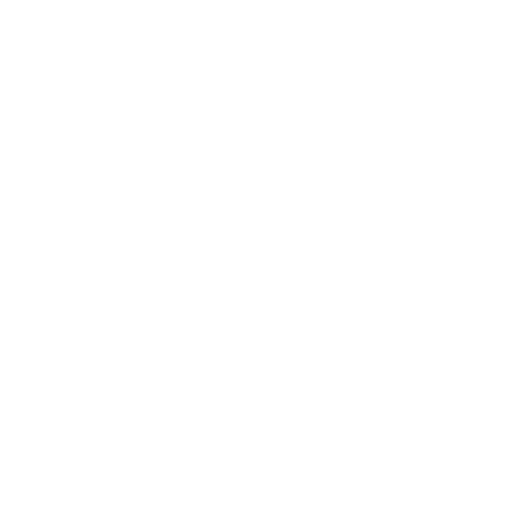 Alina Zerpa Sticker