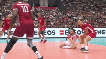 All Together Wow GIF by Volleyball World