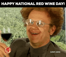 Drinking Wine Funny Holiday GIF by GIFiday