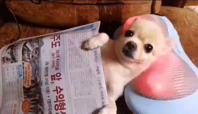 Resultado de imagen para relax gif