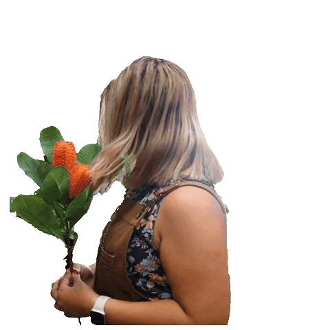 Florist Artificial Flowers Sticker by Silk Flora