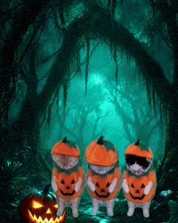 LA CALABAZA